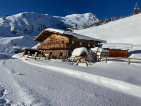 Unique alpine pasture in the Zillertal mountains